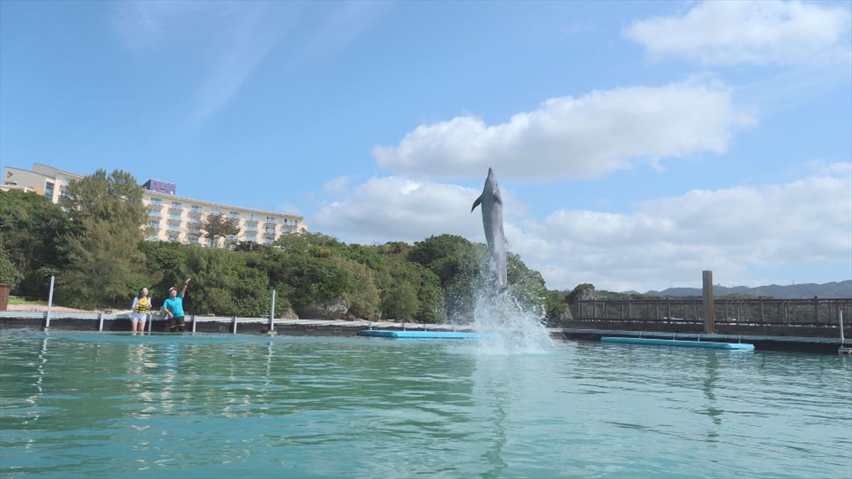 ウィンウィン　2026年4月5日放送