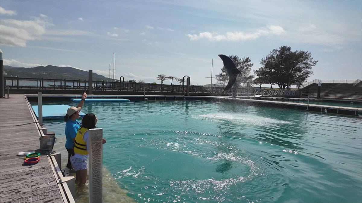 ウィンウィン　2026年4月5日放送