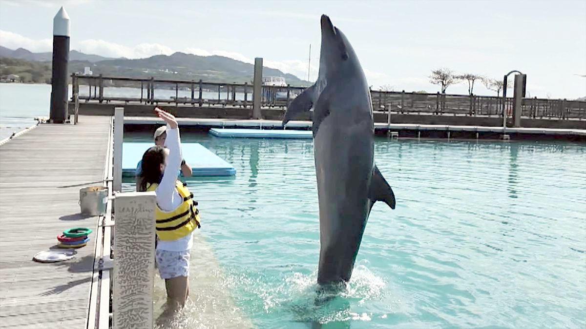 ウィンウィン　2026年4月5日放送