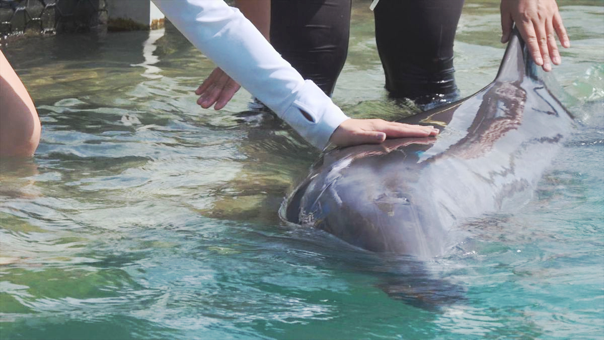 ウィンウィン　2026年4月5日放送