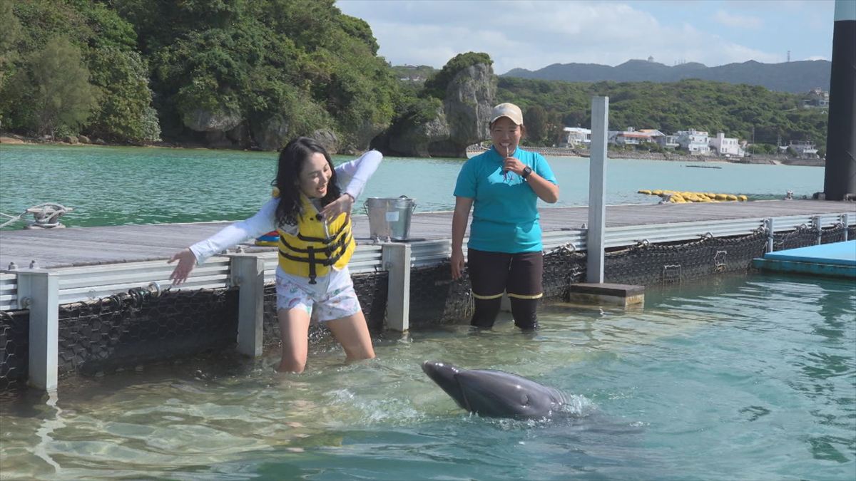 ウィンウィン　2026年4月5日放送