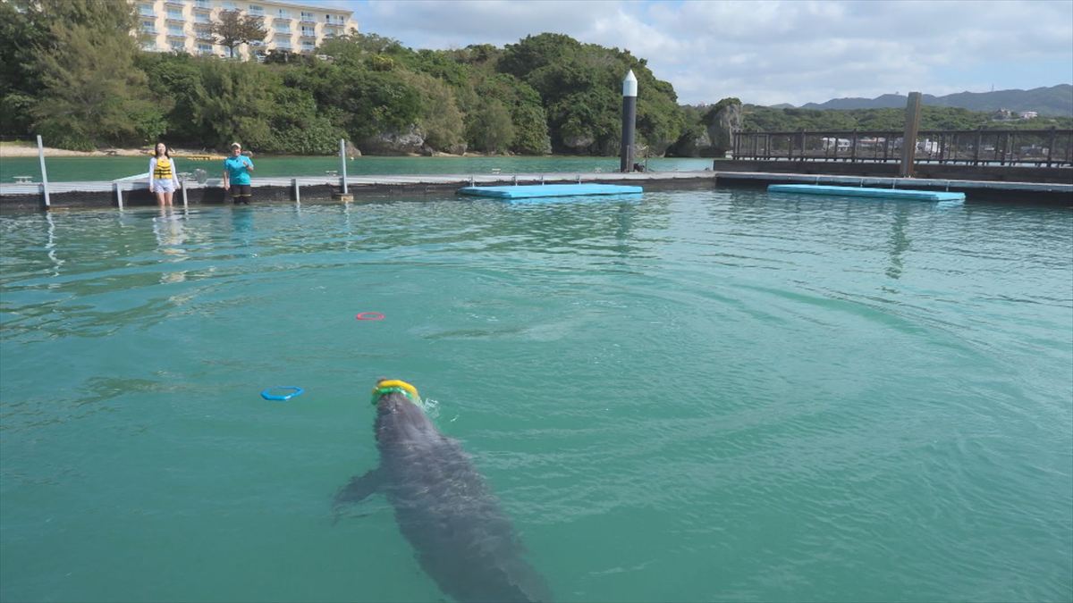 ウィンウィン　2026年4月5日放送