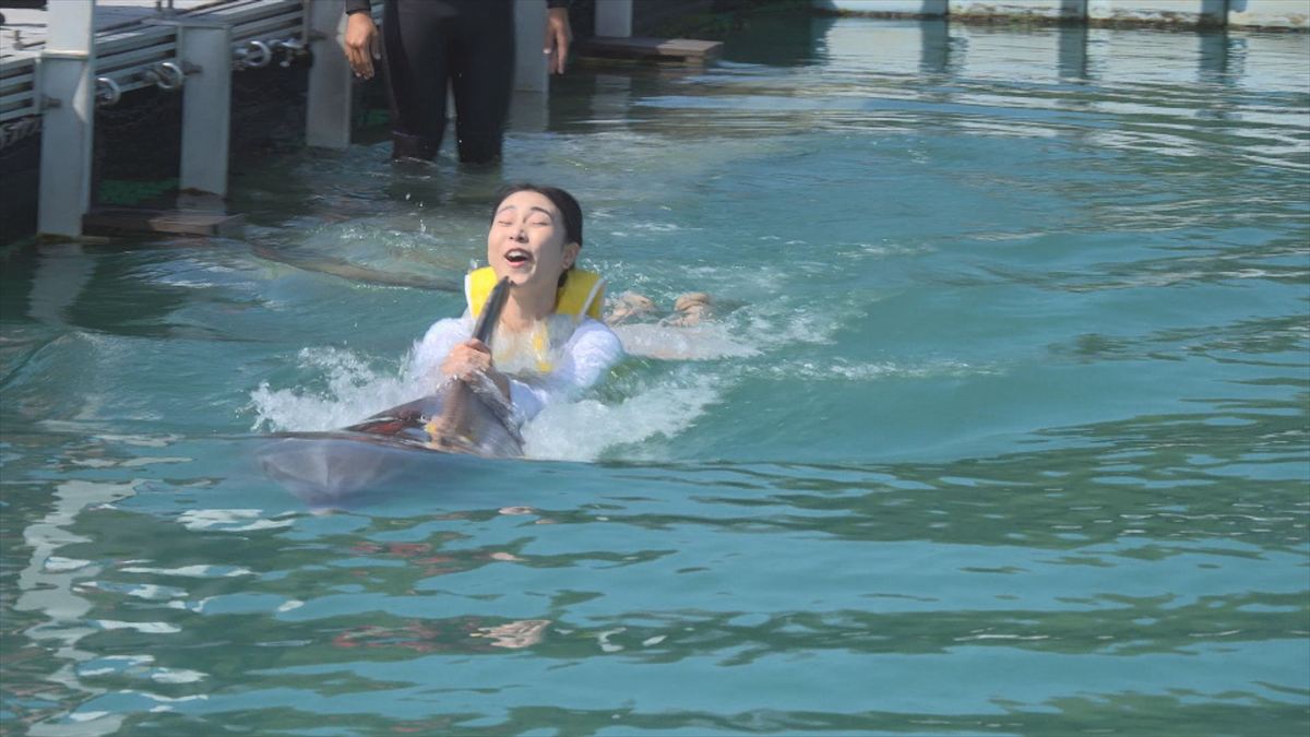 ウィンウィン　2026年4月5日放送