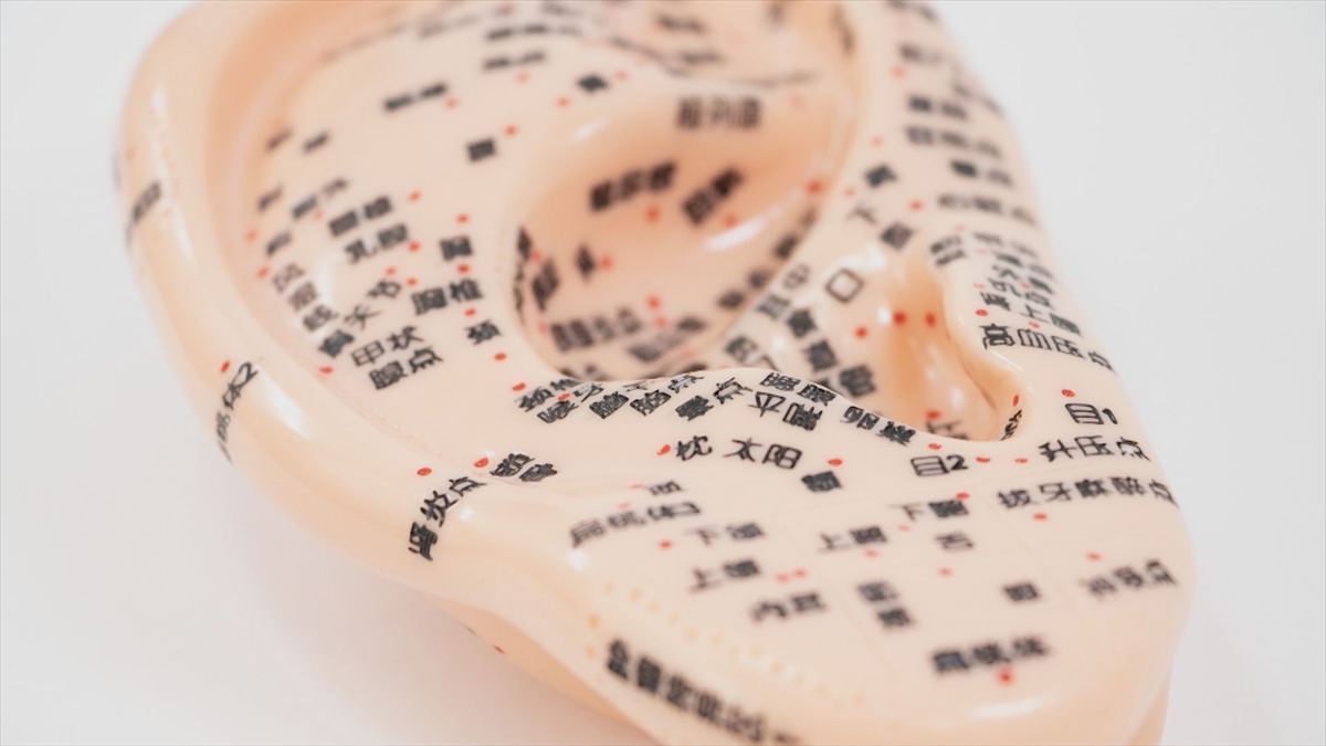 ウィンウィン　2026年4月12日放送