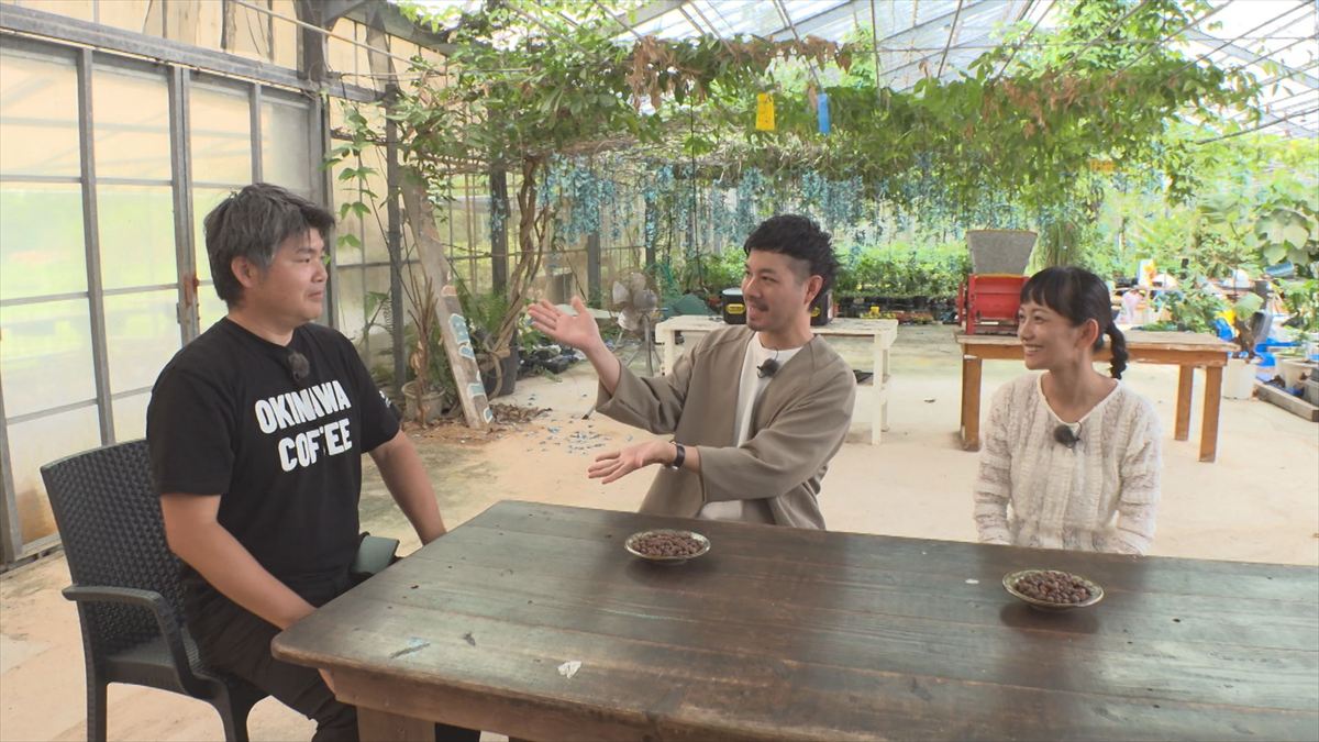 ウィンウィン　2026年4月26日放送