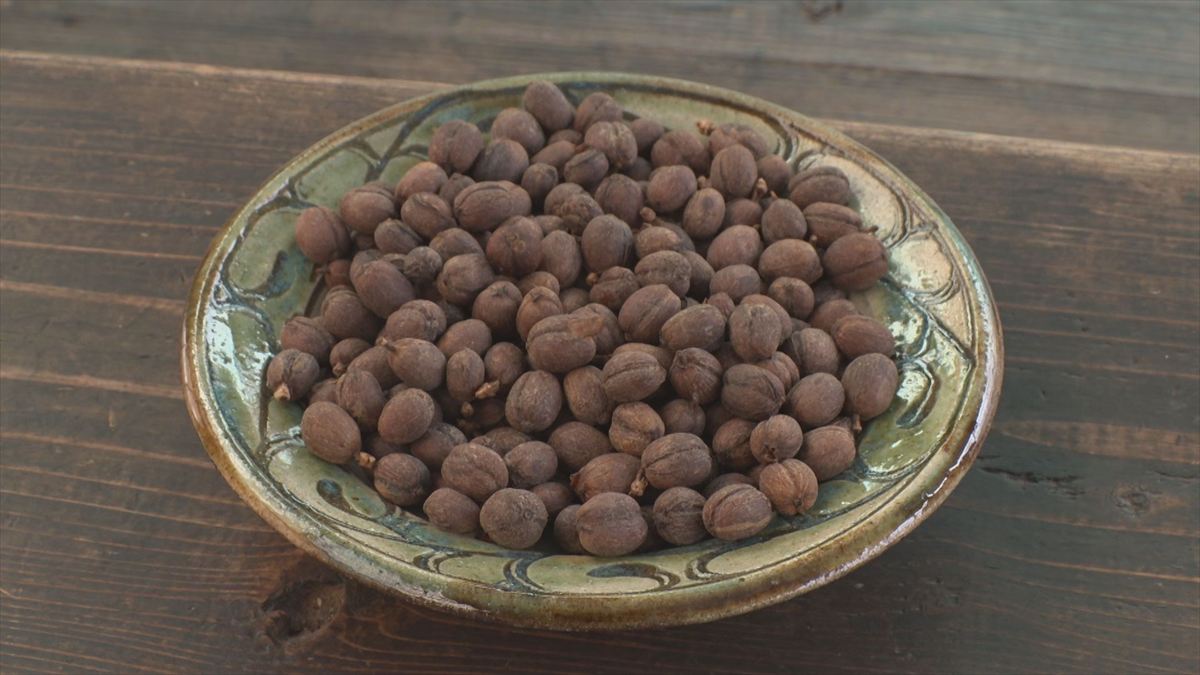 ウィンウィン　2026年4月26日放送