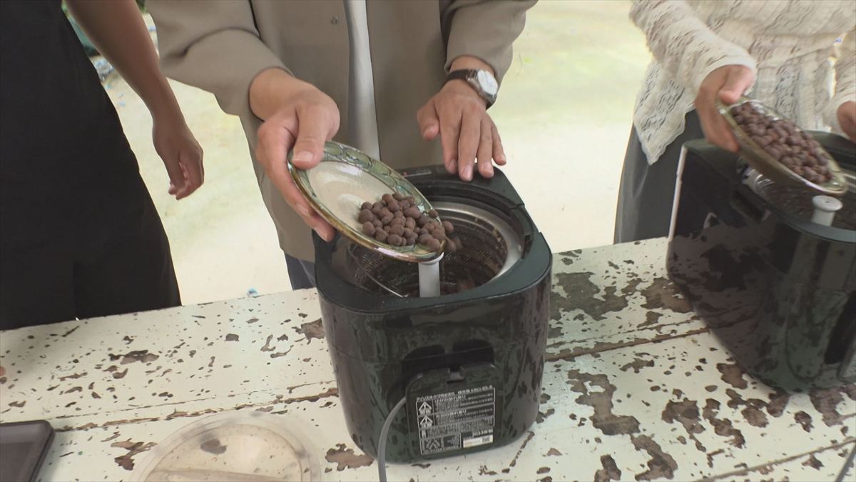 ウィンウィン　2026年4月26日放送