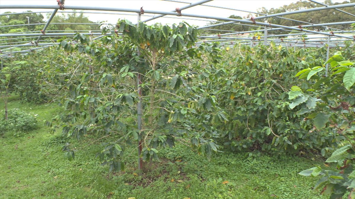 ウィンウィン　2026年4月26日放送