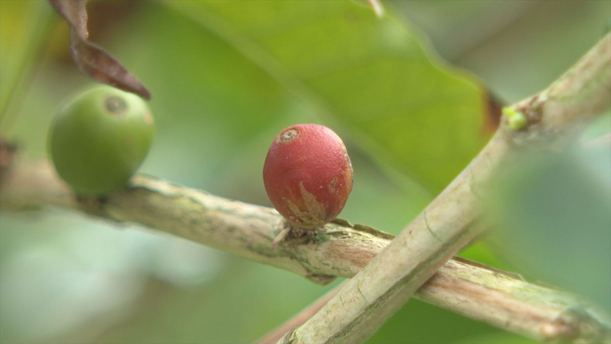 ウィンウィン　2026年4月26日放送