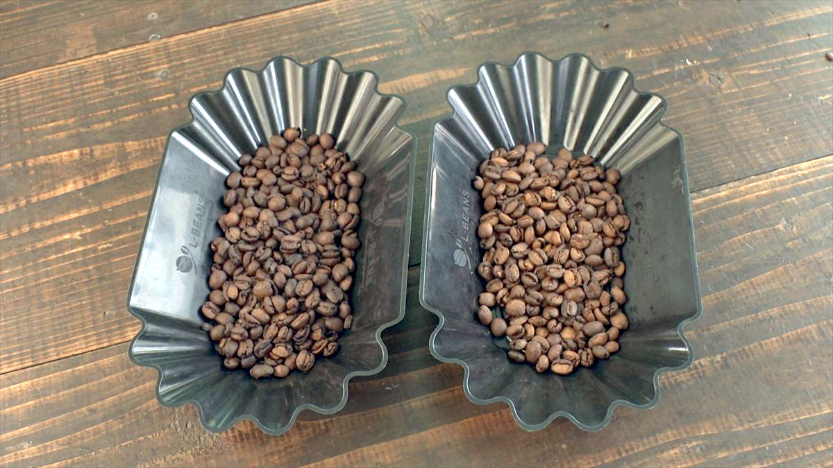 ウィンウィン　2026年4月26日放送