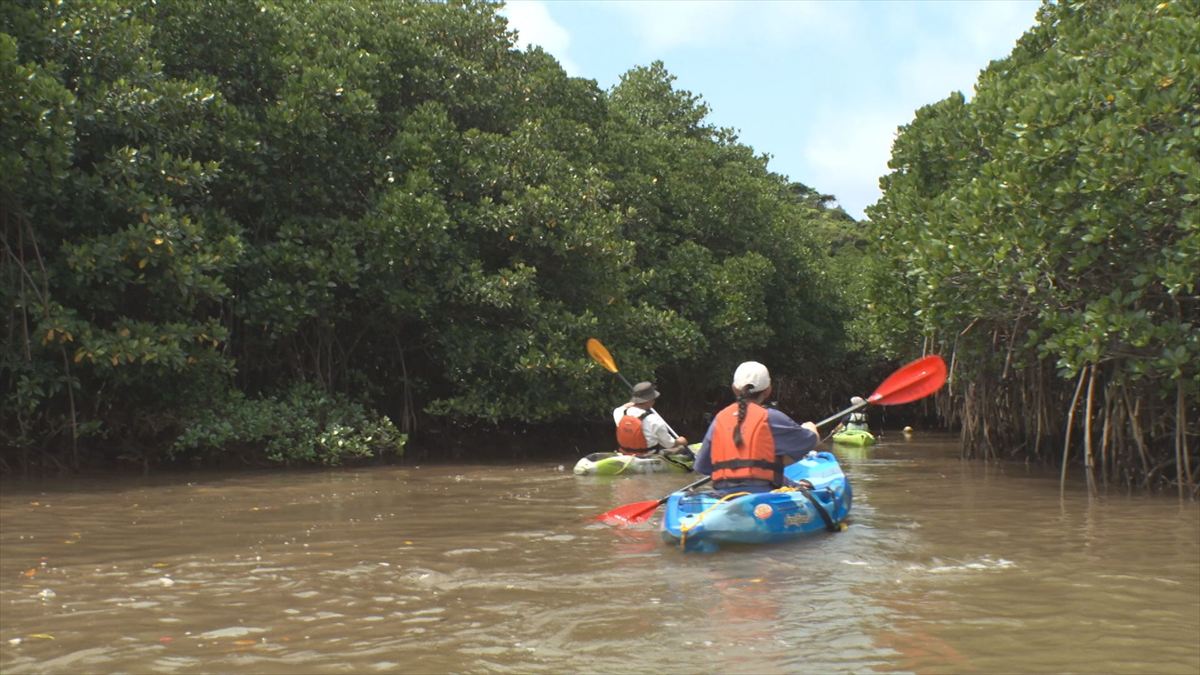 ウィンウィン　2026年4月26日放送