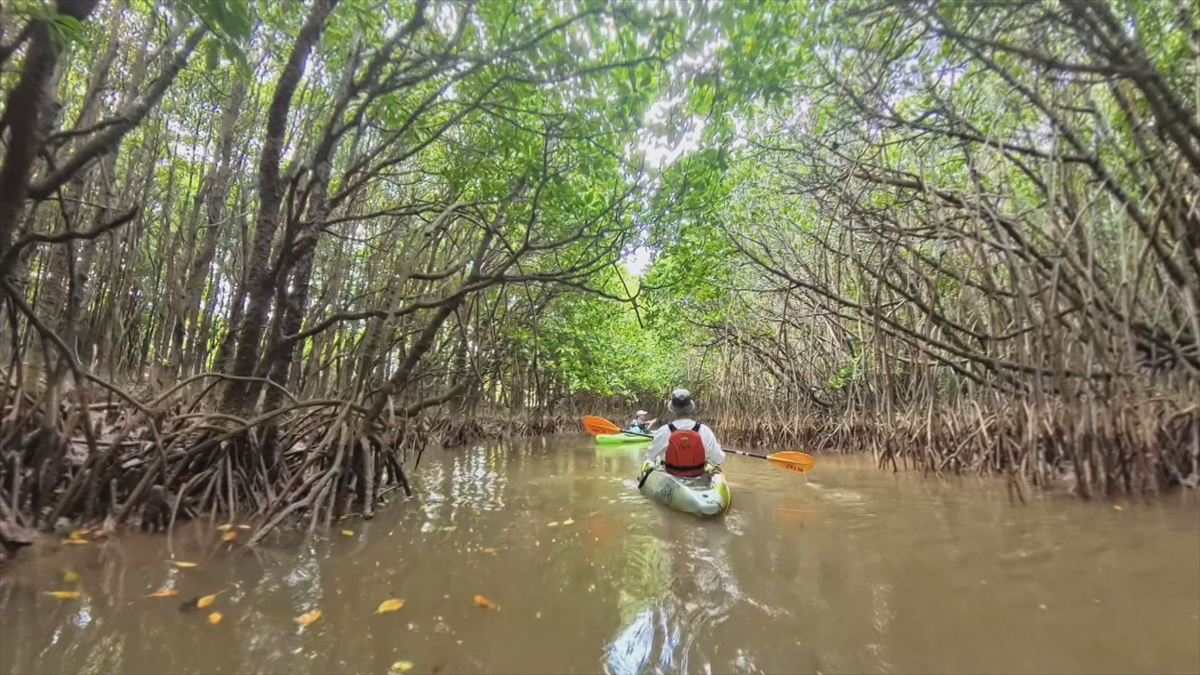 ウィンウィン　2026年4月26日放送