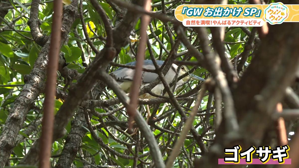 ウィンウィン　2026年4月26日放送