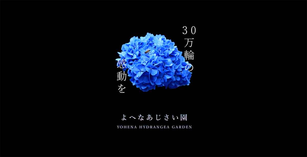 沖縄の今週末どこ行く？なんみん祭・絶景あじさい・話題の麻辣湯まで全部紹介！