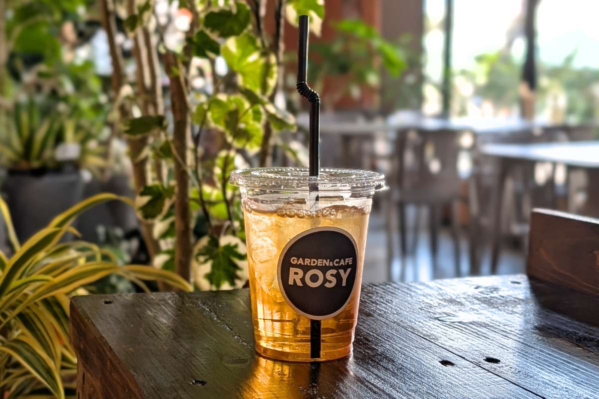 観葉植物に囲まれて飲茶ランチを楽しむ癒しカフェ。オリジナル「月桃ちまき」が絶品！「GARDEN&CAFE ROSY」（糸満市）