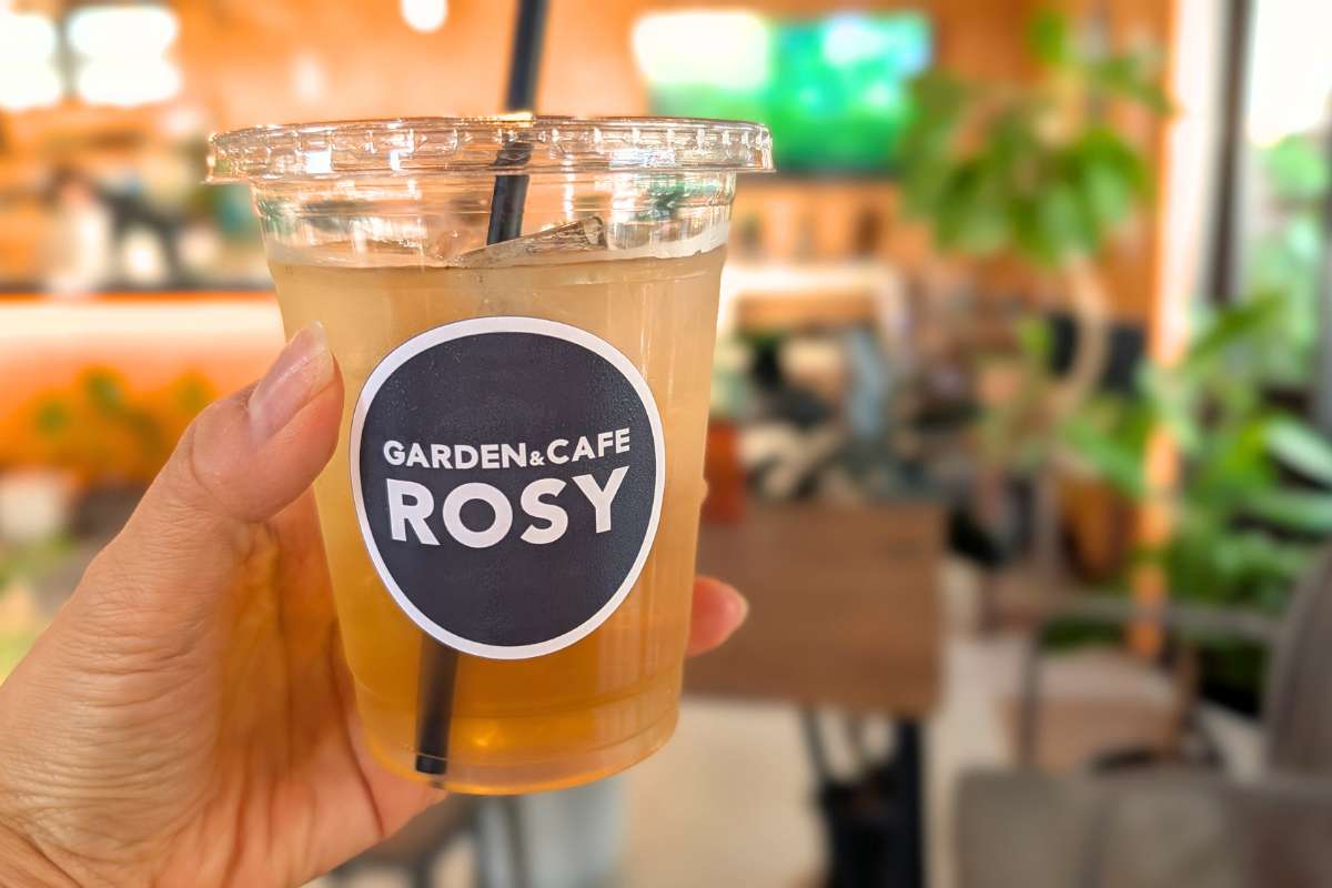 観葉植物に囲まれて飲茶ランチを楽しむ癒しカフェ。オリジナル「月桃ちまき」が絶品！「GARDEN&CAFE ROSY」（糸満市）