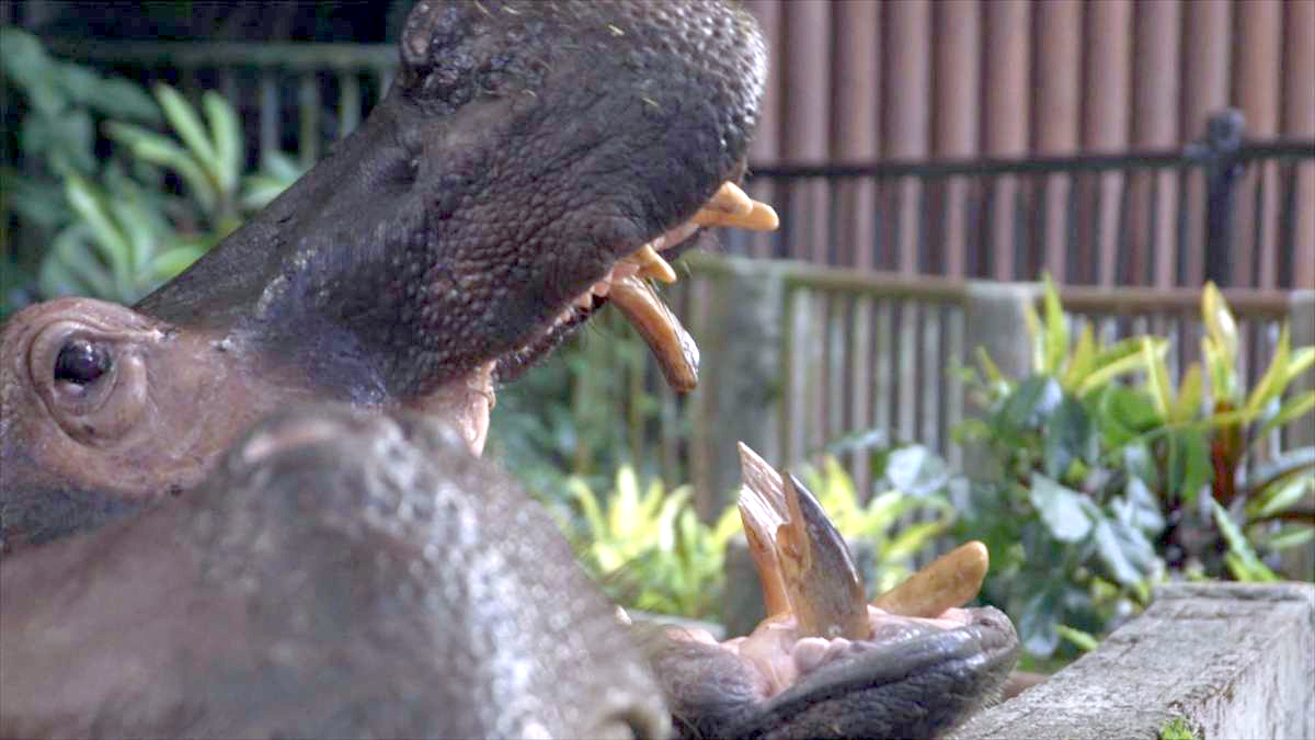 ウィンウィン　2026年5月3日放送