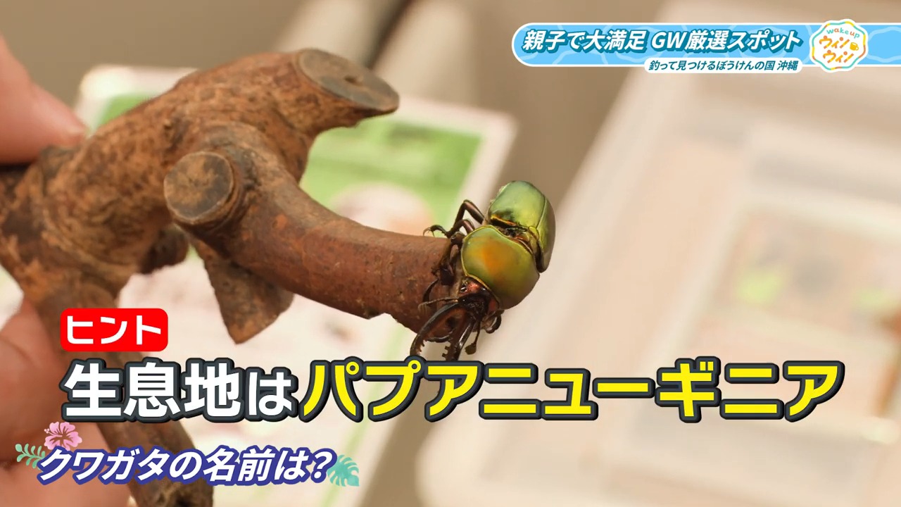 ウィンウィン　2026年5月3日放送