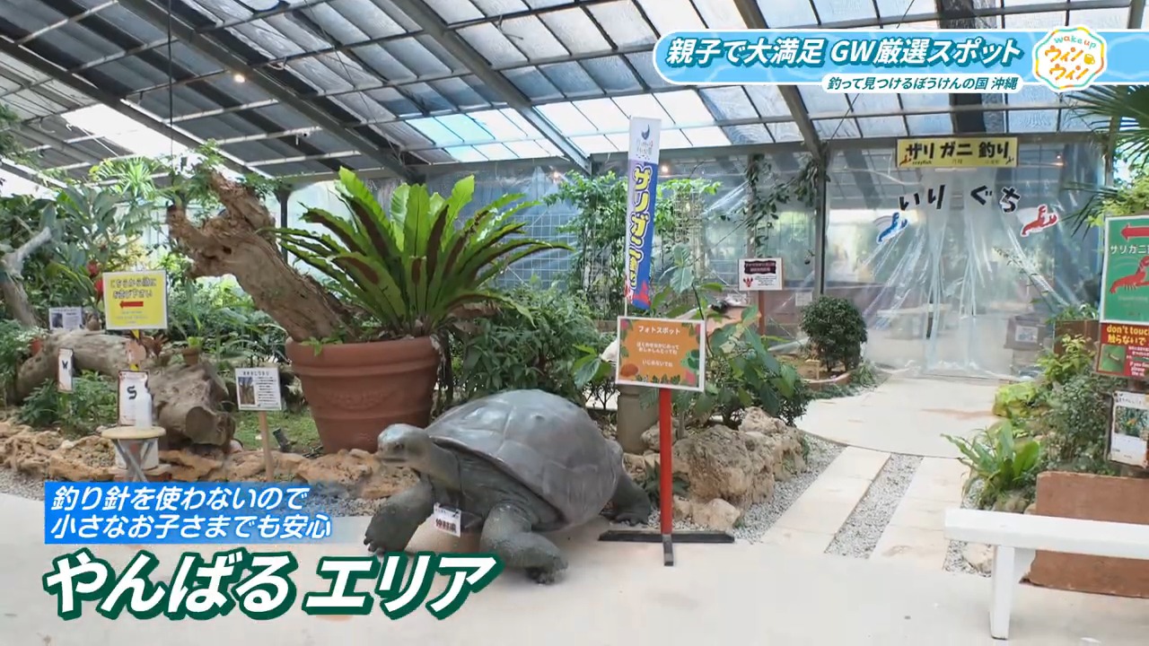 ウィンウィン　2026年5月3日放送