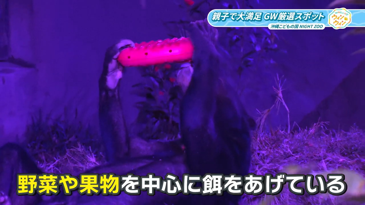 ウィンウィン　2026年5月3日放送