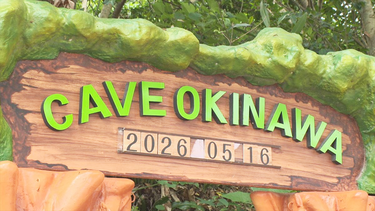ウィンウィン　2026年6月14日放送