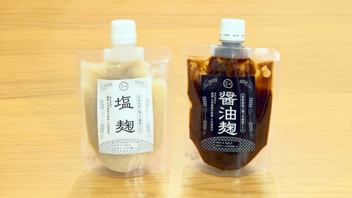 ウィンウィン　2026年6月7日放送