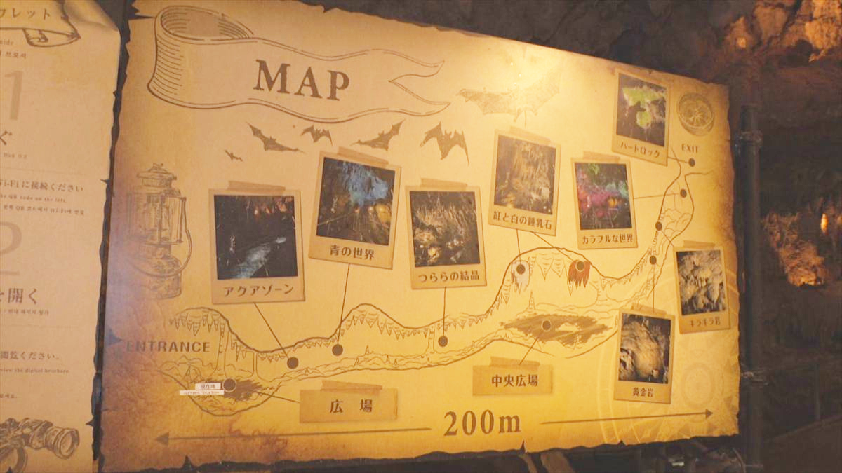 ウィンウィン　2026年6月14日放送
