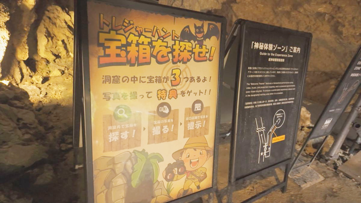 ウィンウィン　2026年6月14日放送