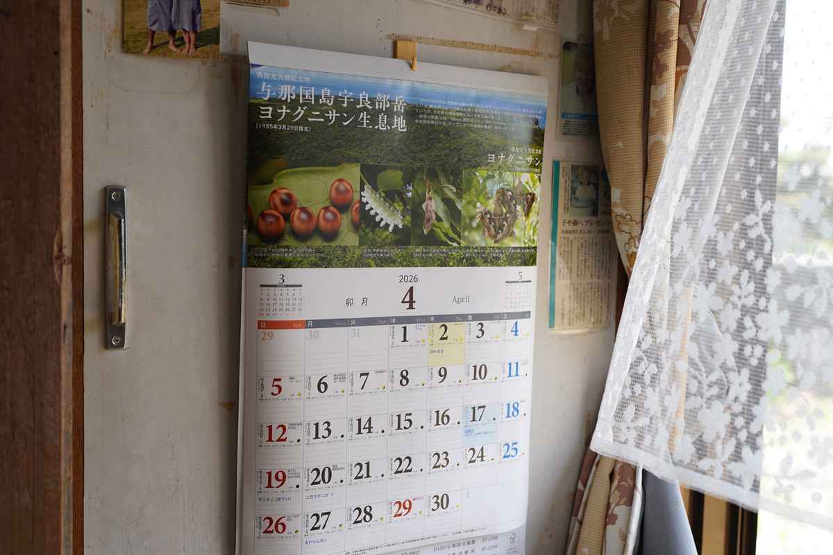 虫を追いかけてたどり着いた与那国島で、31年目を幸せに満たされて暮らす。『教えて島暮らし 〜沖縄移住者の声〜』