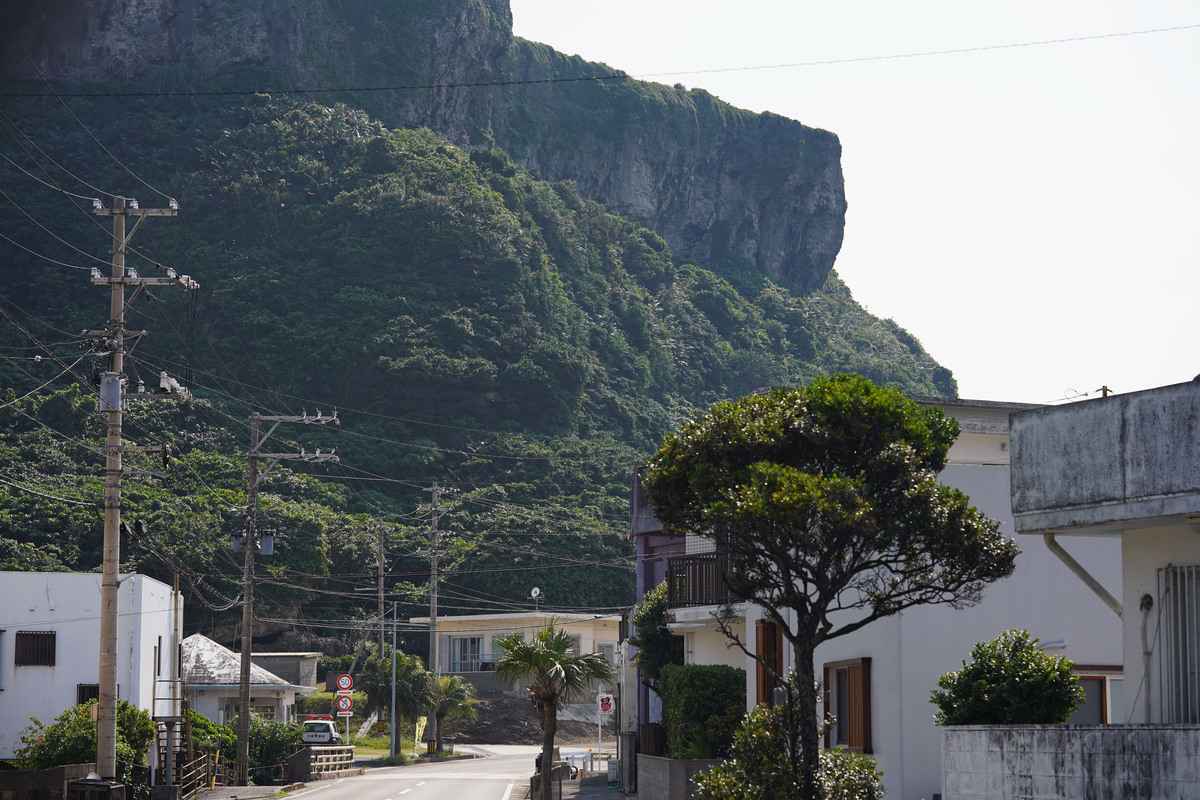 虫を追いかけてたどり着いた与那国島で、31年目を幸せに満たされて暮らす。『教えて島暮らし 〜沖縄移住者の声〜』