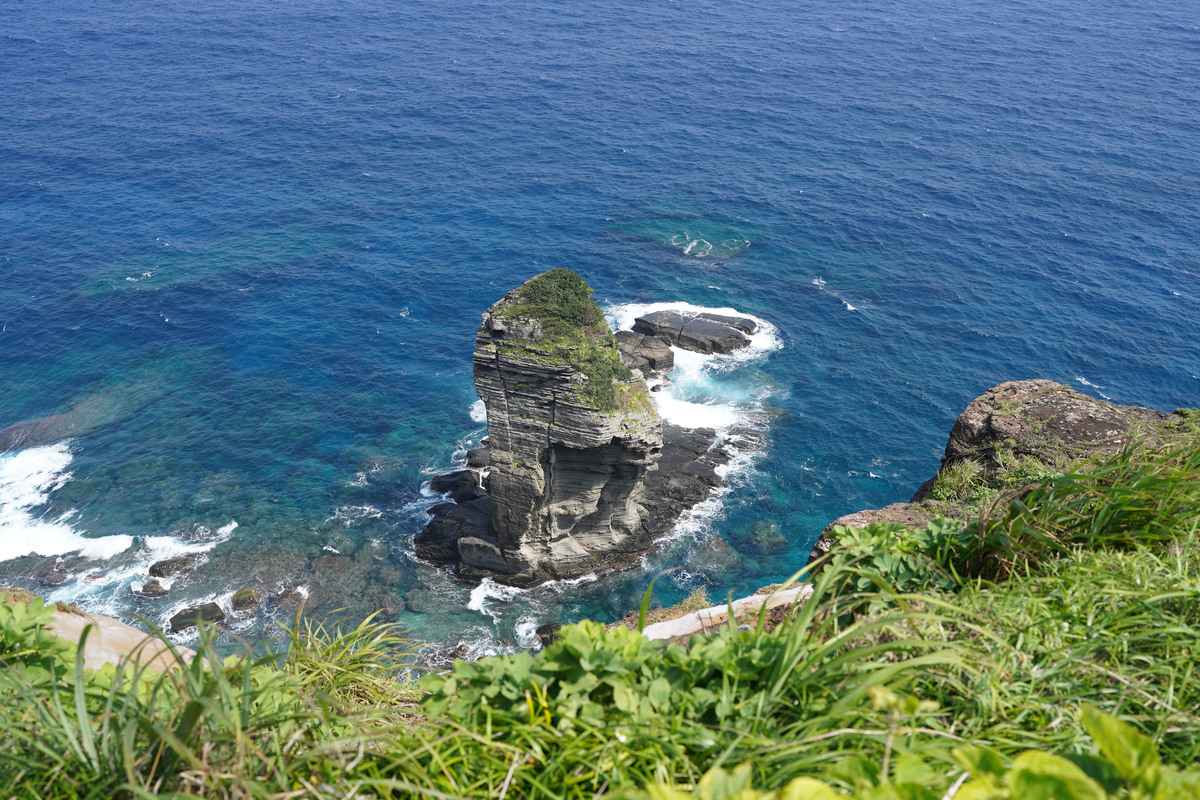 虫を追いかけてたどり着いた与那国島で、31年目を幸せに満たされて暮らす。『教えて島暮らし 〜沖縄移住者の声〜』