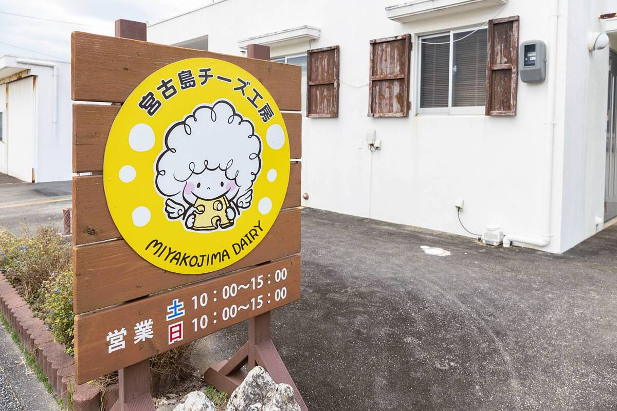 ジャパンチーズアワードで銀賞！ここでしか買えない”18種類のチーズ”「宮古島チーズ工房」（宮古島市）