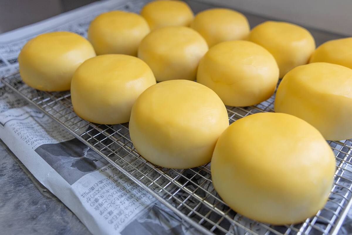 ジャパンチーズアワードで銀賞！ここでしか買えない”18種類のチーズ”「宮古島チーズ工房」（宮古島市）