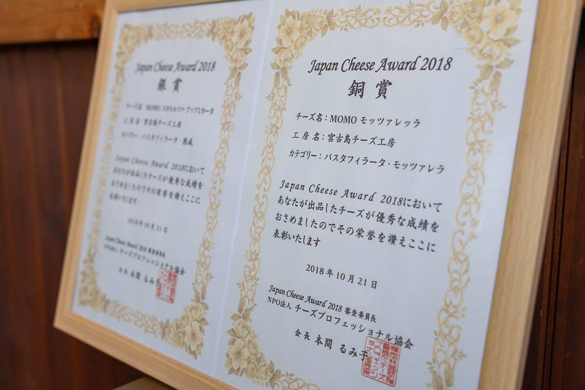 ジャパンチーズアワードで銀賞！ここでしか買えない”18種類のチーズ”「宮古島チーズ工房」（宮古島市）