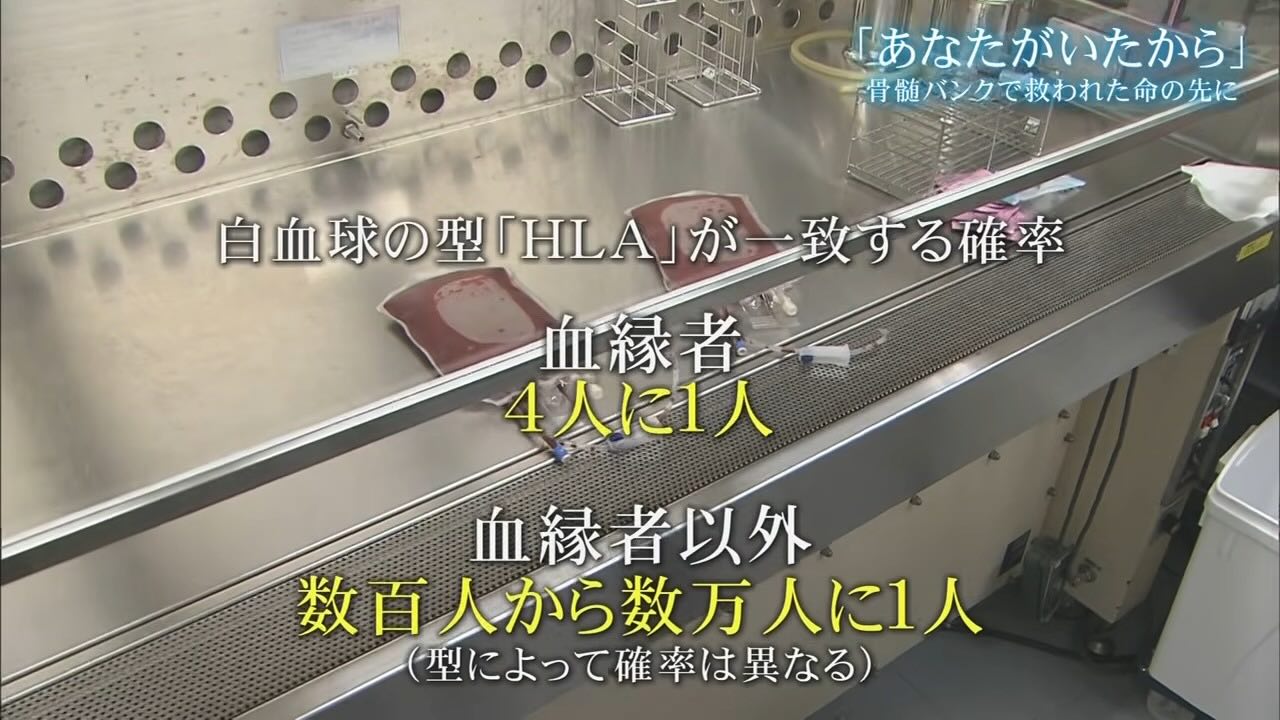 誰かに救われたから、誰かを救いたい　骨髄移植で命をつないだ女性が恩返しのために立ち上がる理由