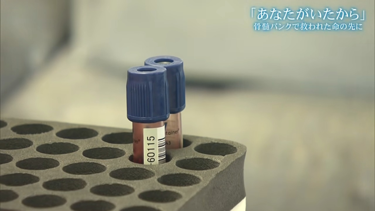 誰かに救われたから、誰かを救いたい　骨髄移植で命をつないだ女性が恩返しのために立ち上がる理由