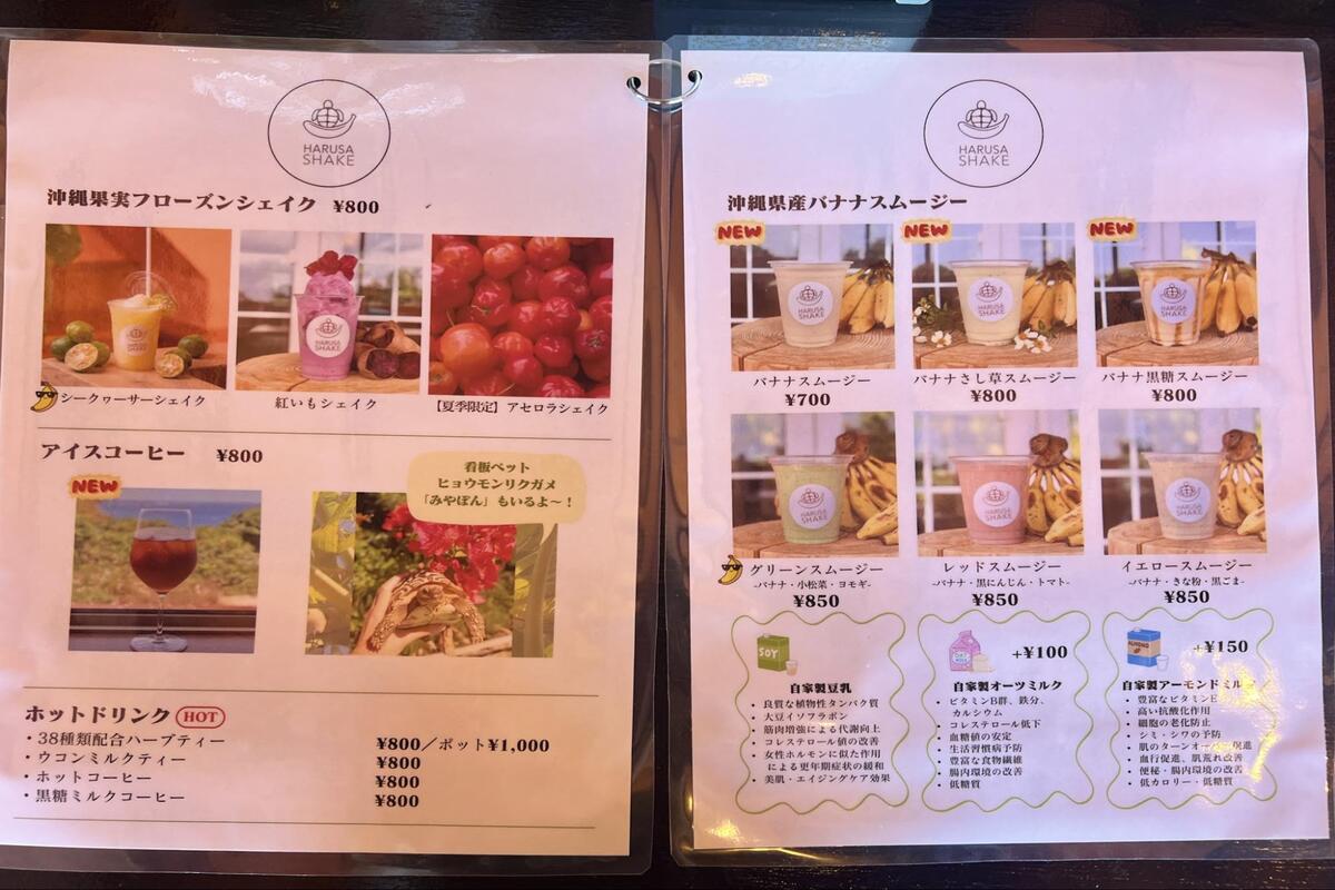 斎場御嶽のすぐそばでひと休み。久高島を望む「HARUSA SHAKE（ハルサシェイク）」で沖縄県産果実のスムージー＆シェイクを味わう（南城市）