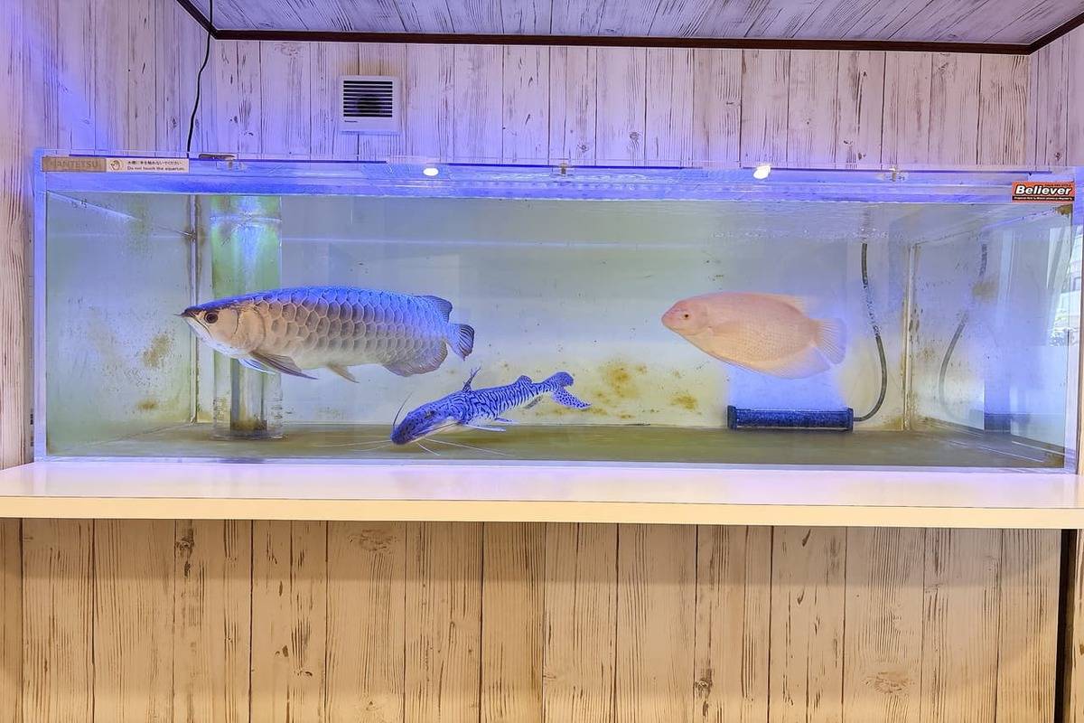 限定10食「食工房まほろば」の金目鯛のせいろ蒸しとイカスミ汁、もう食べた？（糸満市）