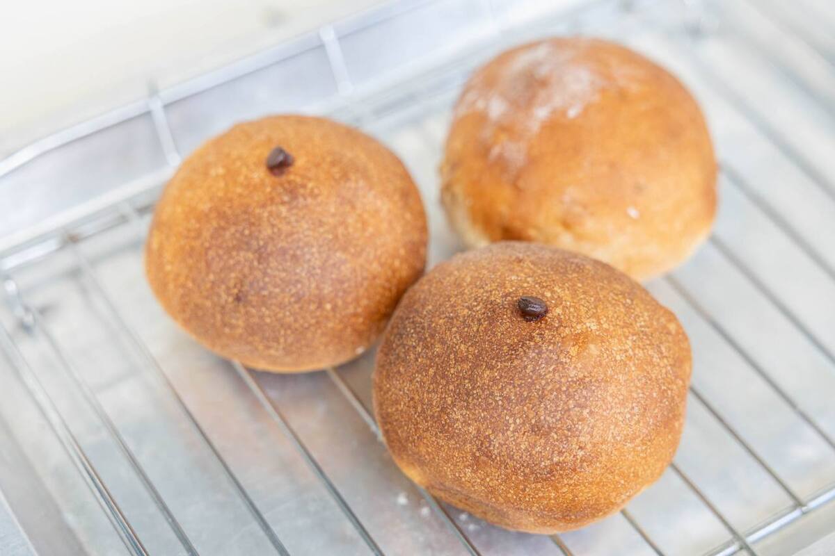唯一無二の食感が忘れられない「モジャのパン屋」“素朴で力強い”味わいが愛され続ける理由（宮古島市）