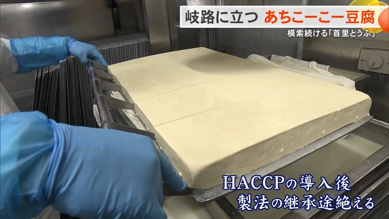 消えかけた「あちこーこー豆腐」復活への道──老舗が背負う沖縄の食文化　継承への挑戦