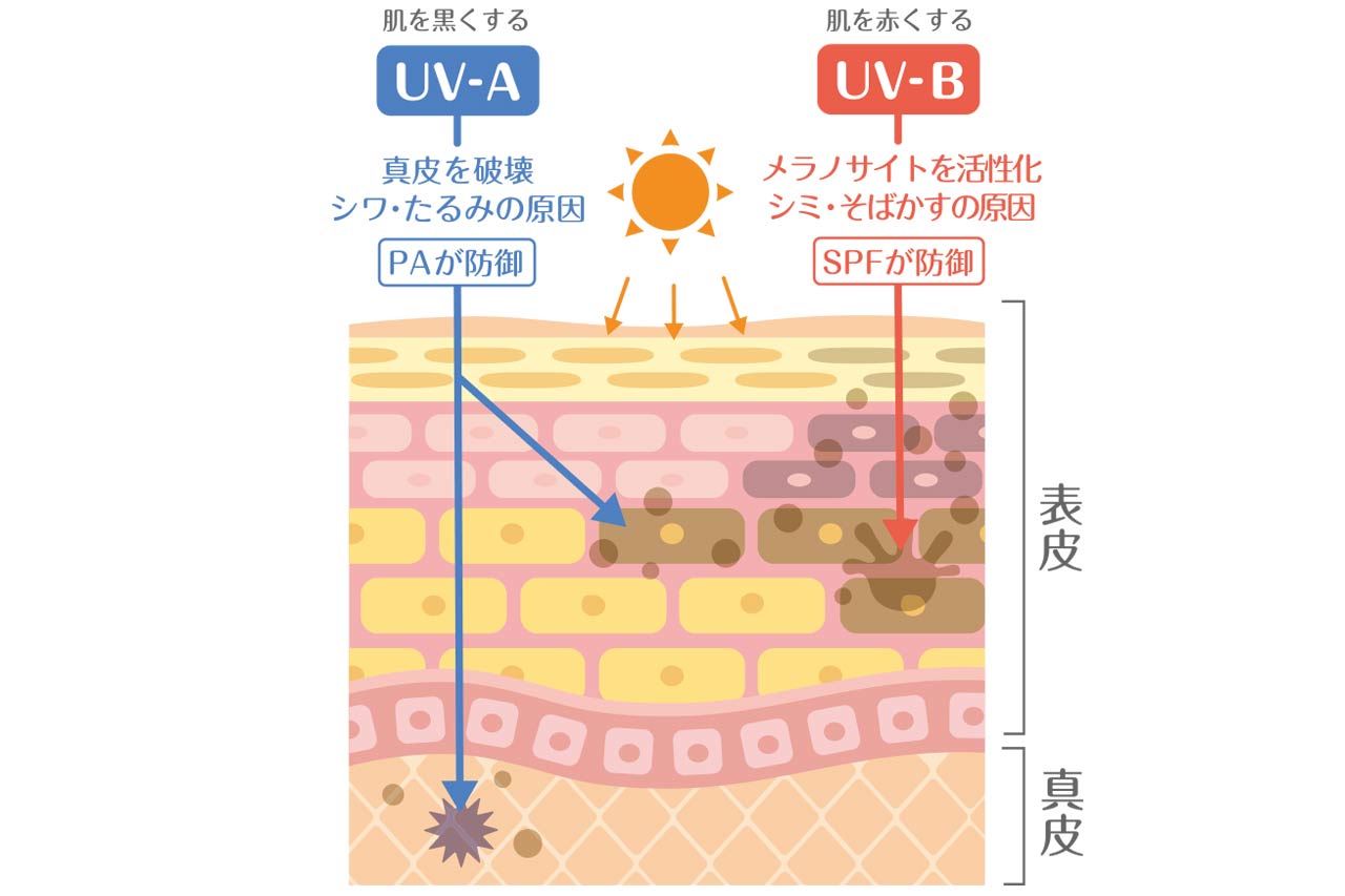 沖縄の日差しが危険な理由　友利新先生に聞くUVA・UVBと正しい防ぎ方