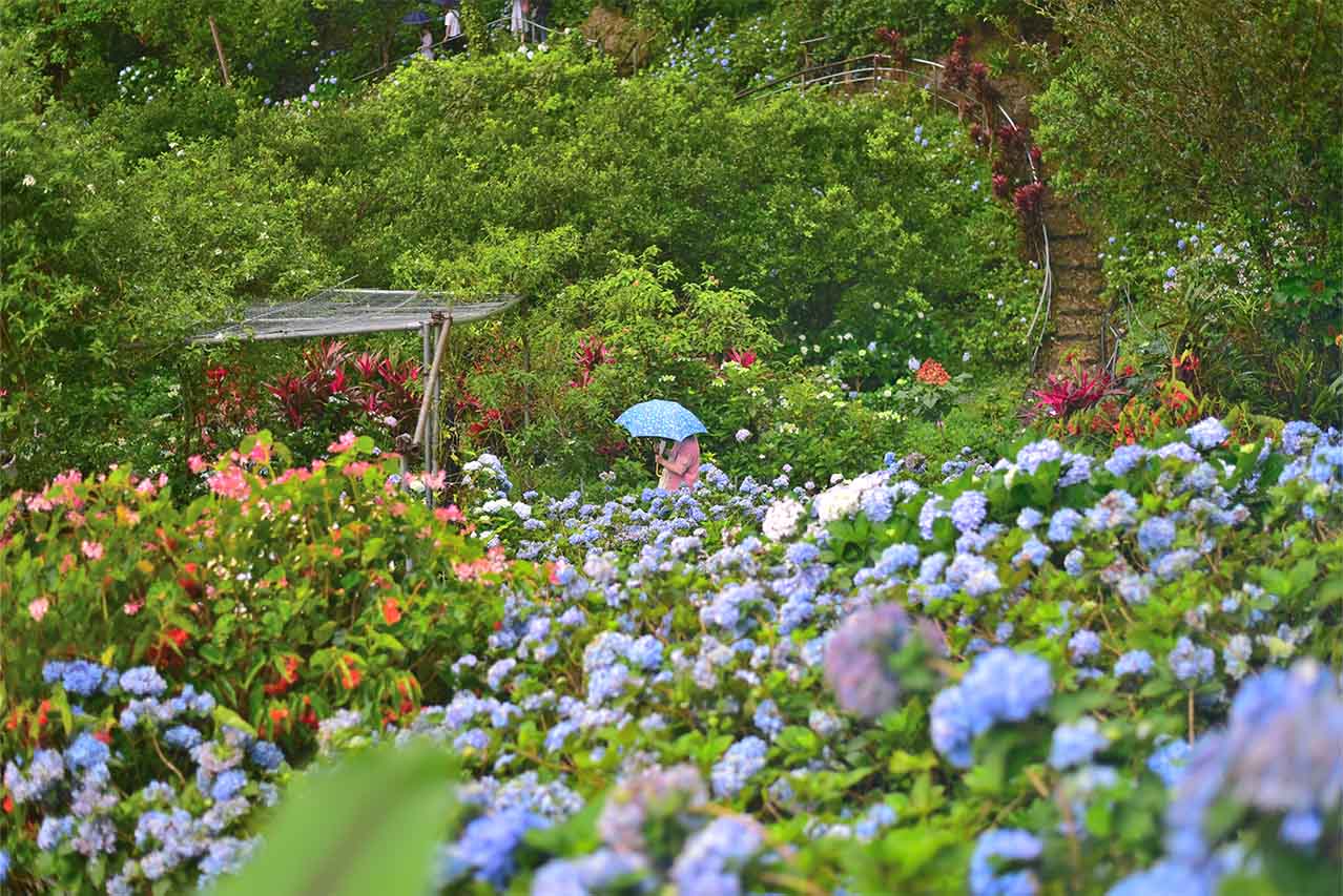 語る沖縄暮らし：偶然のご縁から始まった移住生活が、私にとって120点満点になった理由