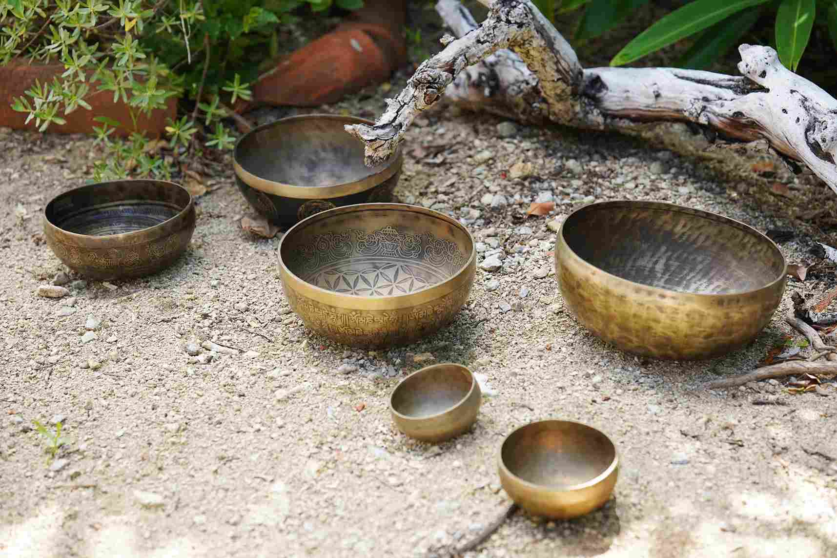 世界を旅して辿り着いた波照間島、自然体で暮らしながらゆっくり前進。『教えて島暮らし〜沖縄移住者の声〜』