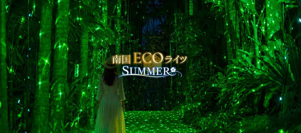 【8月8日・9日】光と音の夏の夜！「東南植物楽園イルミ」＆「北谷エイサー」と南北おすすめ絶品グルメ