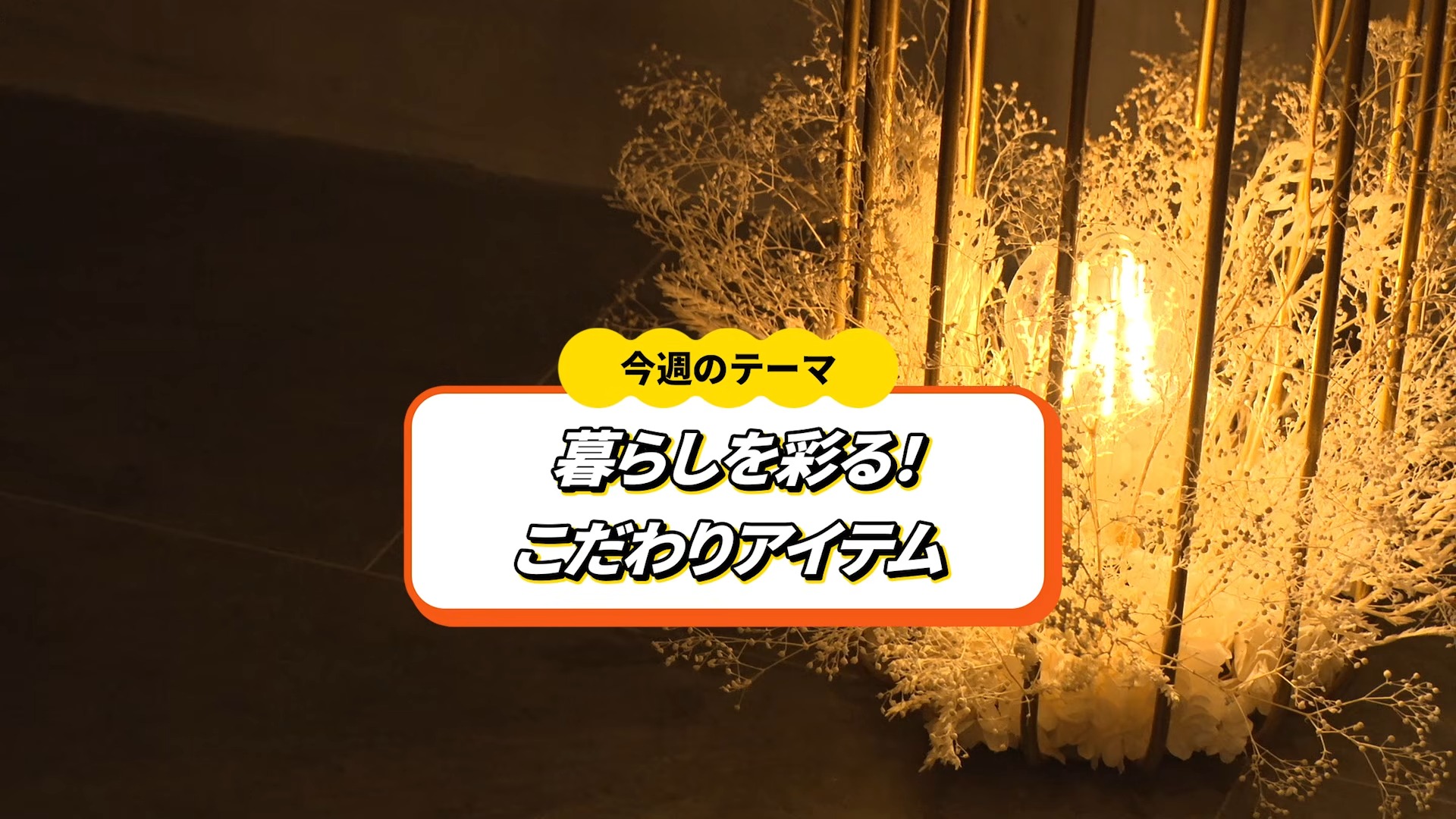 Alt:ウィンウィン2026年9月13日