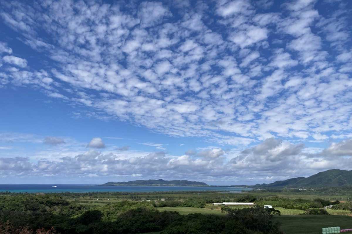沖縄に移住するならどこに住む？那覇・北谷・恩納・名護・石垣島…移住者のリアルな本音「理想と現実」