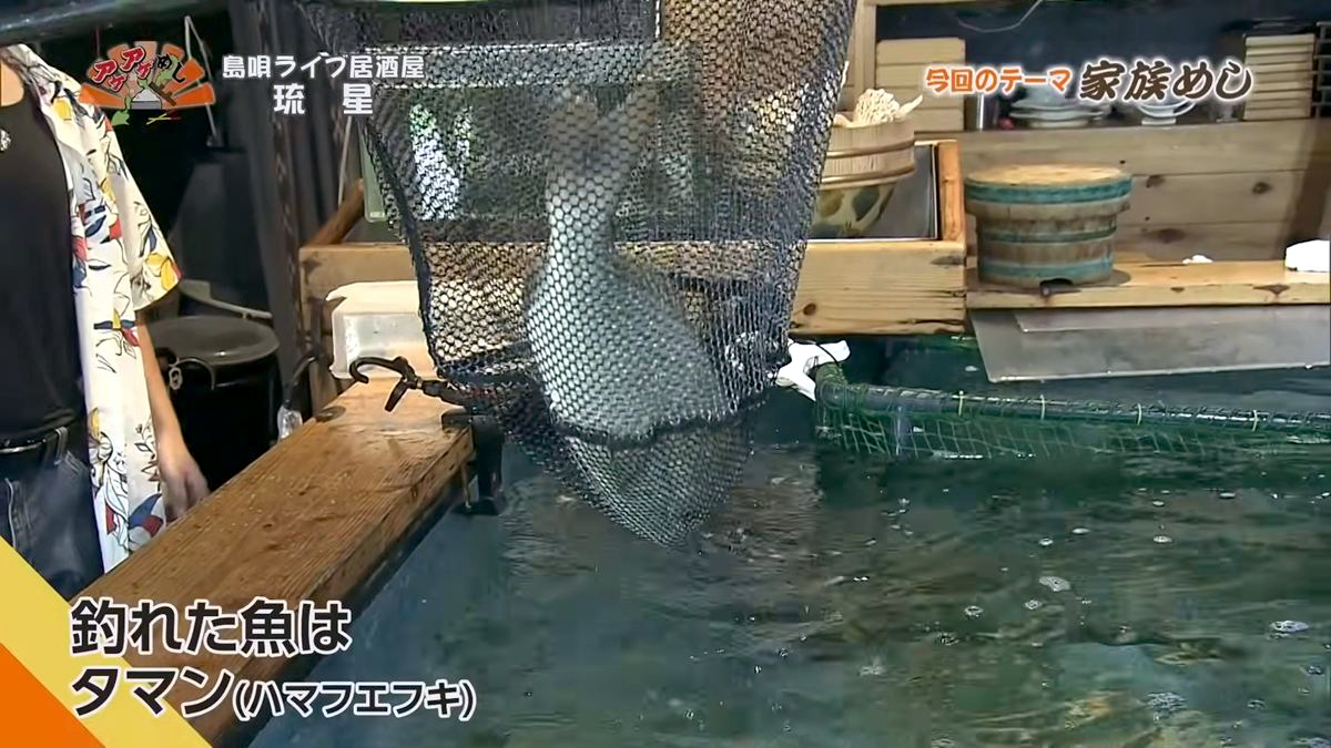 Alt：島唄ライブ居酒屋 琉星（那覇市久茂地）｜OTV アゲアゲめし 2026年9月18日放送 　／
