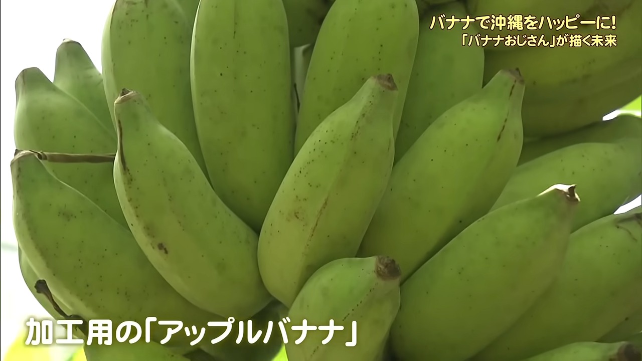 “バナナおじさん”の黄色くてハッピーな熱い思い　バナナを沖縄の基幹産業に…資産を投げ打って挑戦し続ける理由