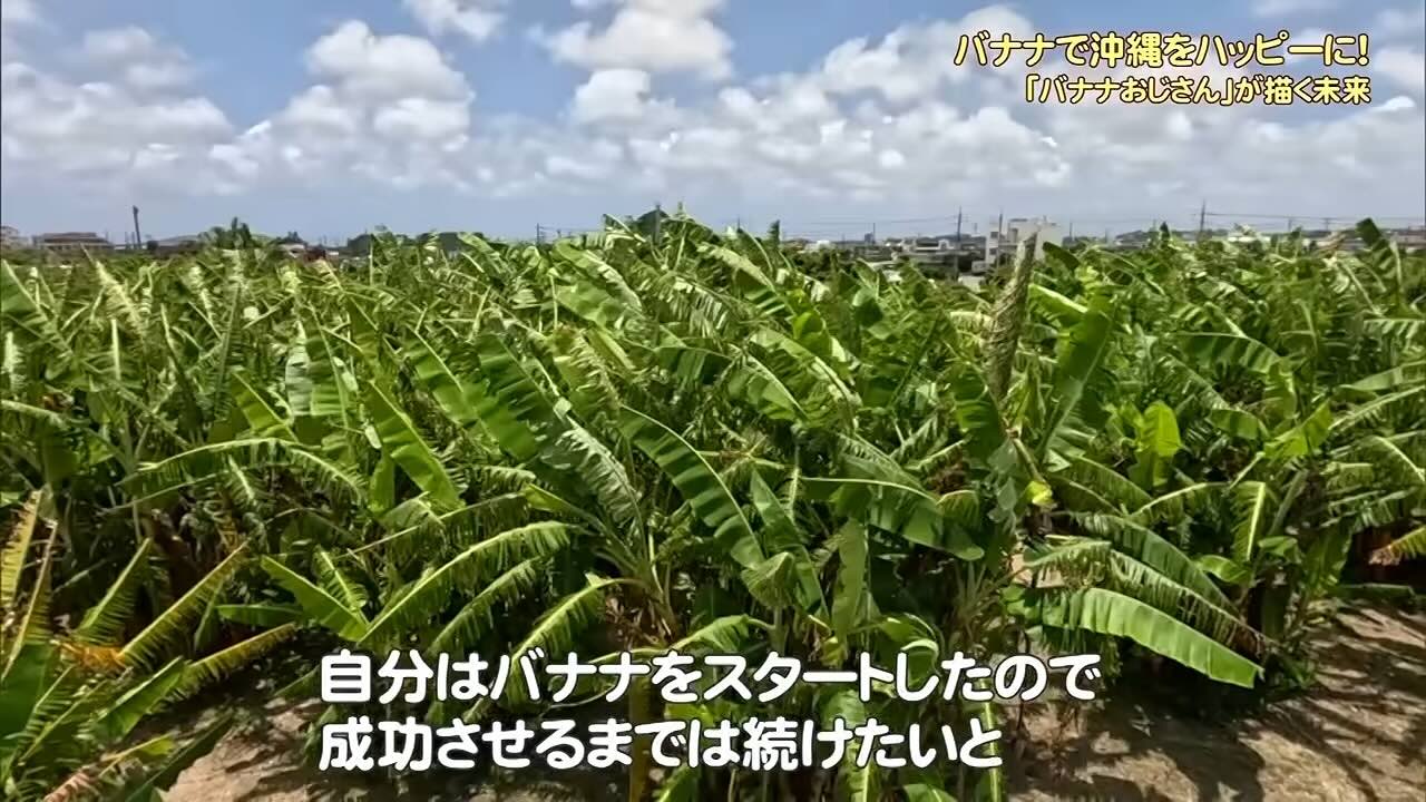 “バナナおじさん”の黄色くてハッピーな熱い思い　バナナを沖縄の基幹産業に…資産を投げ打って挑戦し続ける理由