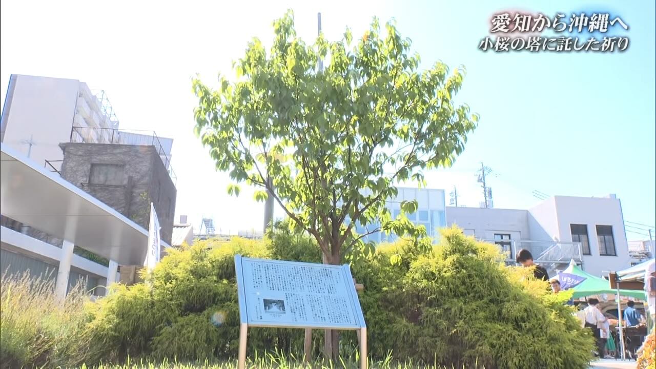 対馬丸事件から82年、愛知の人たちが沖縄に「小桜の塔」を建立した理由